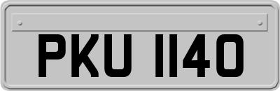 PKU1140