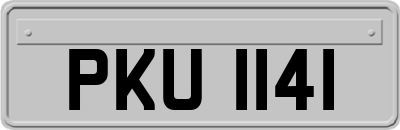 PKU1141