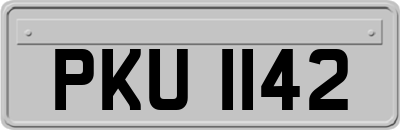 PKU1142