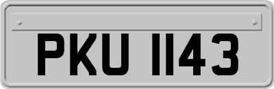 PKU1143