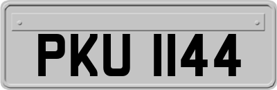 PKU1144
