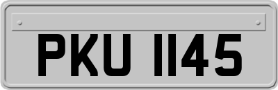 PKU1145