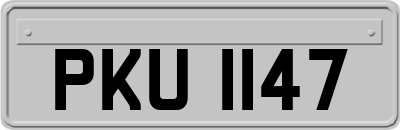 PKU1147