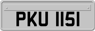 PKU1151