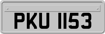 PKU1153