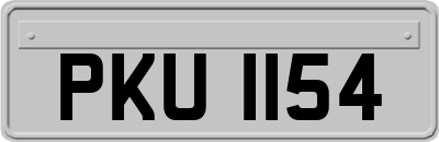 PKU1154