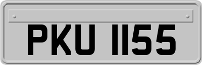 PKU1155