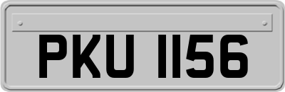 PKU1156