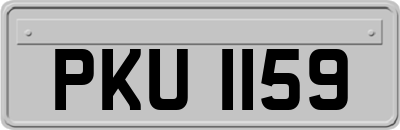 PKU1159