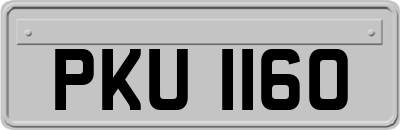 PKU1160