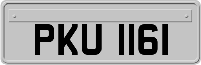 PKU1161
