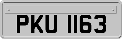 PKU1163