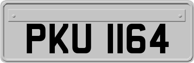 PKU1164