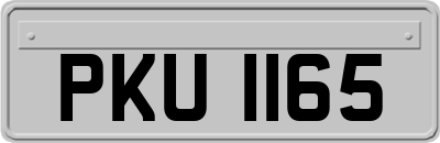 PKU1165
