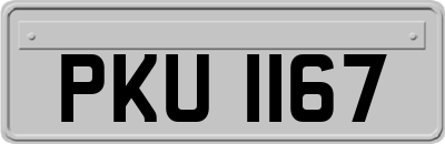 PKU1167