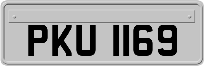 PKU1169