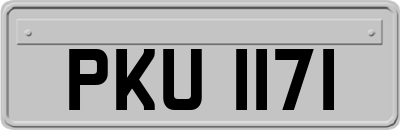 PKU1171