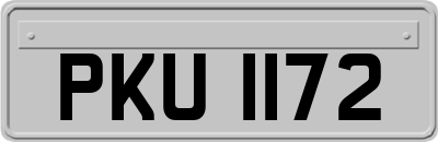 PKU1172