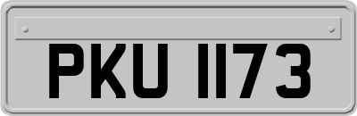 PKU1173