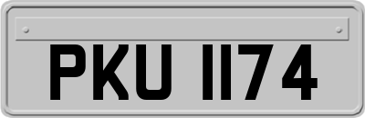 PKU1174