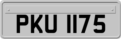 PKU1175