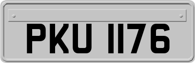 PKU1176