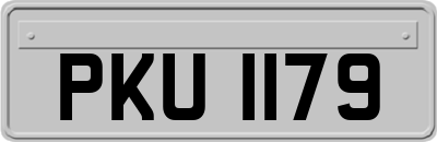 PKU1179