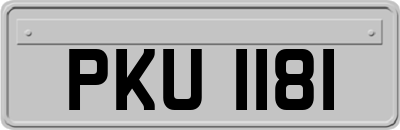 PKU1181