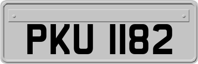 PKU1182