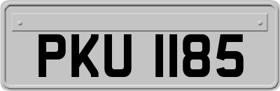 PKU1185