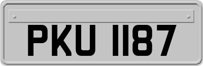 PKU1187