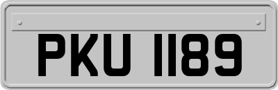 PKU1189