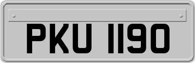 PKU1190