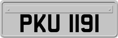 PKU1191