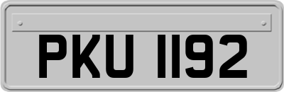 PKU1192
