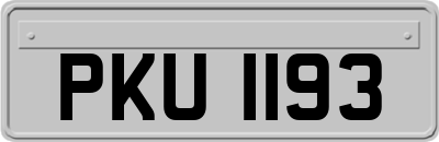 PKU1193