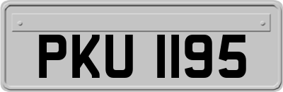 PKU1195