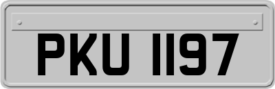 PKU1197