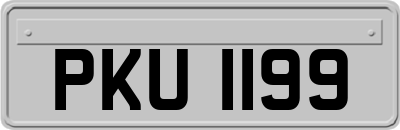 PKU1199