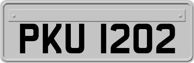 PKU1202