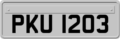 PKU1203
