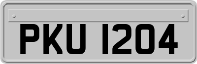 PKU1204