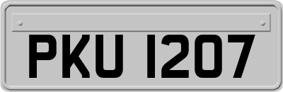 PKU1207