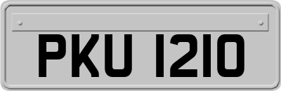 PKU1210