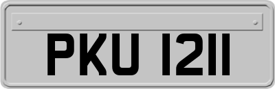 PKU1211