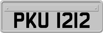 PKU1212