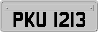 PKU1213