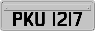 PKU1217