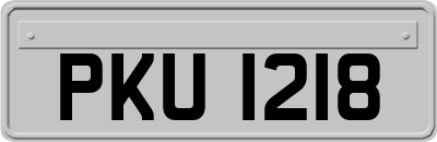 PKU1218