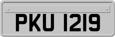 PKU1219
